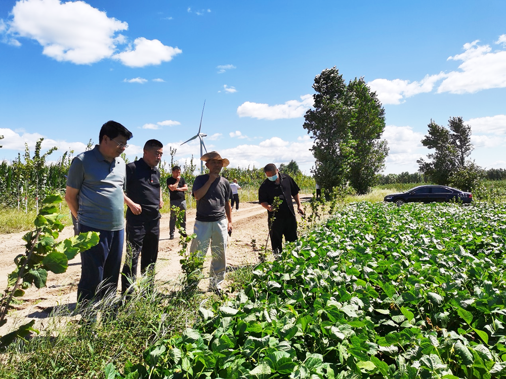 1661248705626222.png 圖片2.png