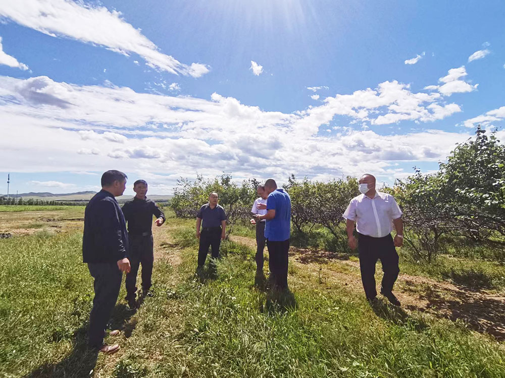 1661493833705765.jpg 1213.jpg