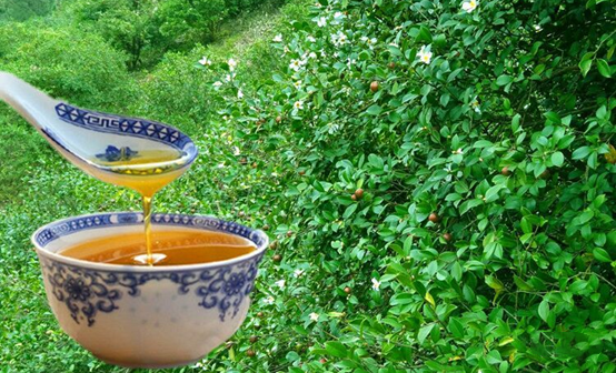 1663555515449445.png 640 (1)副本.png