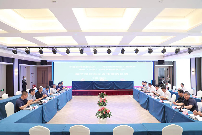 1685189793891876.jpg 55.jpg