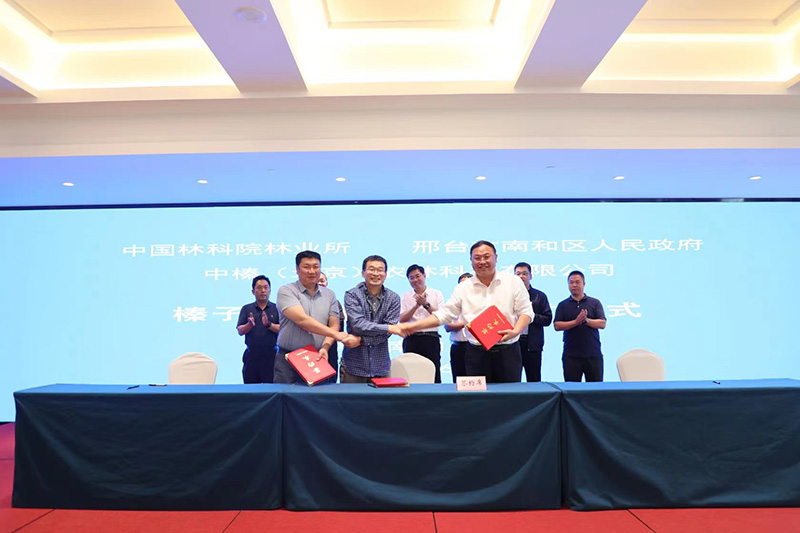 1685189852456039.jpg 51.jpg