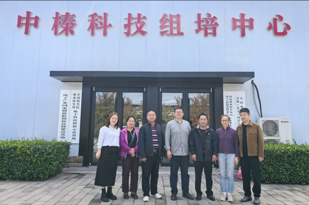 1734857424312261.png 圖片1.png