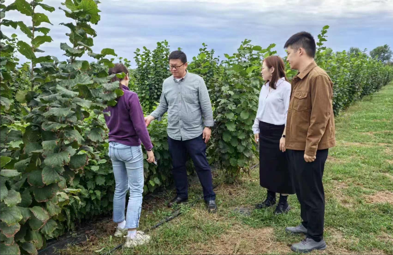 1734857533170463.png 圖片5.png