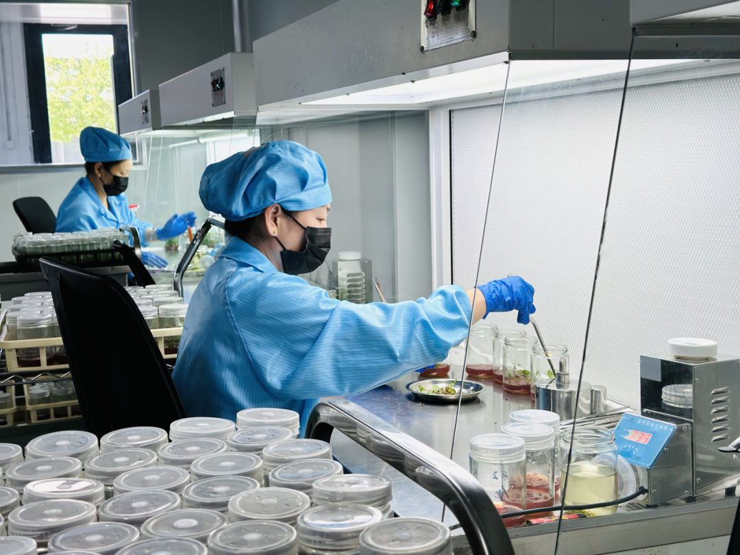 1734858270501667.png t11a477708f9c6e9ee091c34513.png