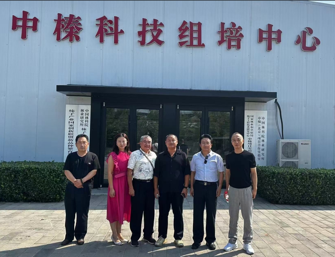 1734858799588797.png 圖片1.png