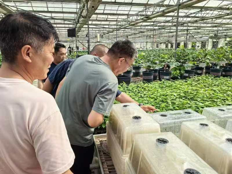 1735026647166726.png 圖片2.png