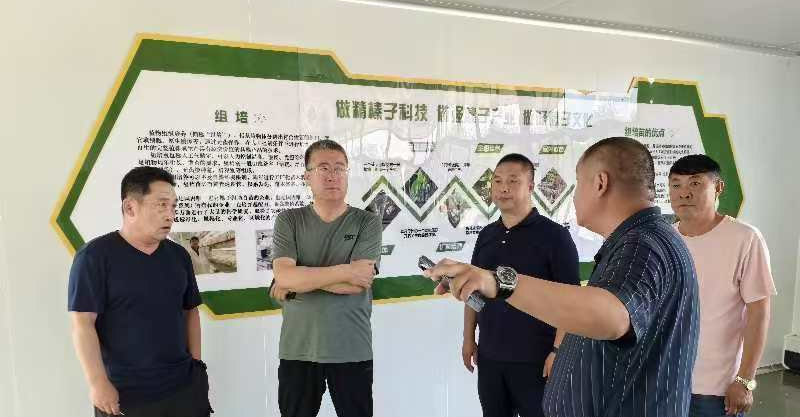 1735026665831958.png 圖片3.png