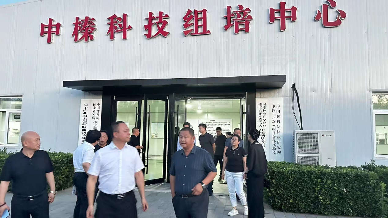 1735045624613262.png 圖片1.png