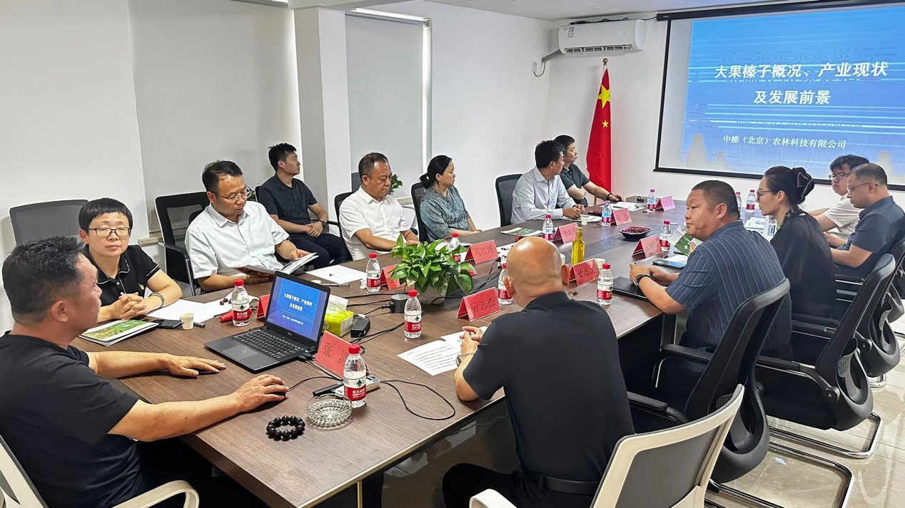 1735045717325699.png 圖片3.png