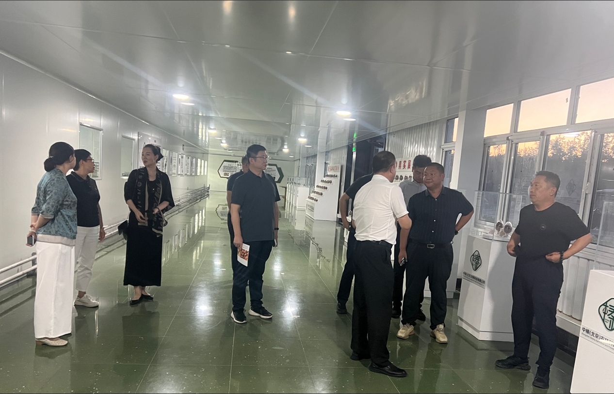 1735045975171960.png 圖片12.png