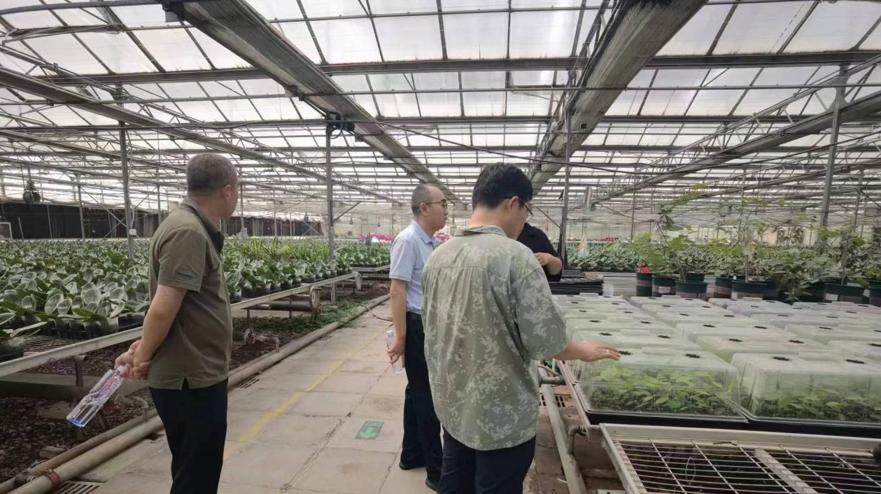 1735047937570788.png 微信截圖_20241224214522.png