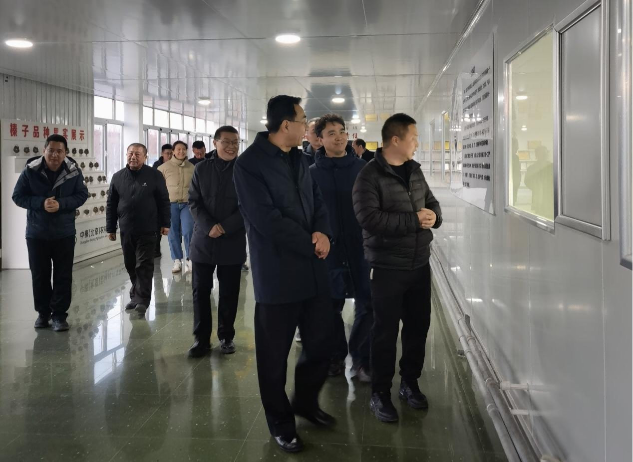 1740126633220473.png 圖片4(1).png