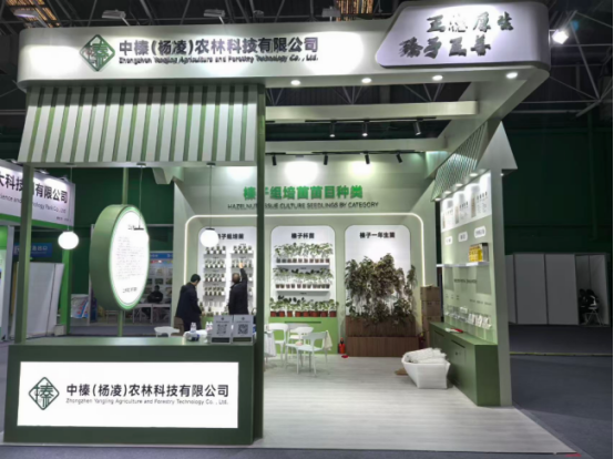 1761878596549079.png image.png